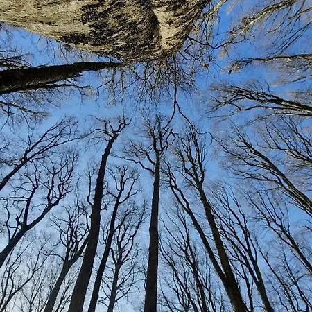 Borghi Bed & Breakfast *