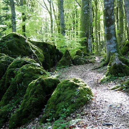 Borghi Bed & Breakfast Poppi