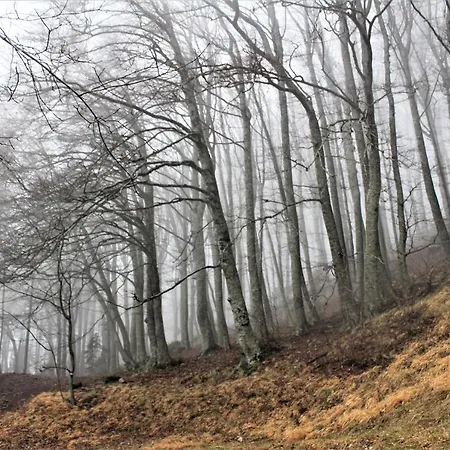 Borghi Bed & Breakfast