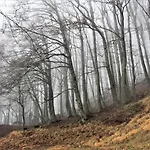 Borghi Frühstückspension