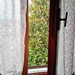 Borghi *