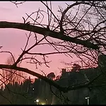 Borghi Oda ve Kahvaltı *