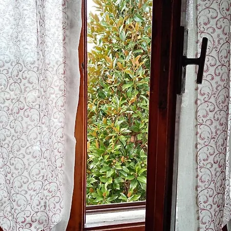 Borghi *
