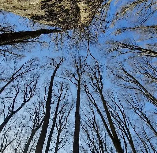 Borghi Отель типа 