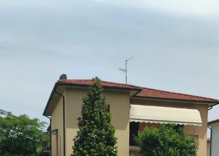 Borghi * Поппи